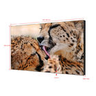 0.8mm boşluk 500 Cd / m2 4K Dijital Tabela Video Duvar Ekran çözümleri Ticari Sergi için 55 İnç